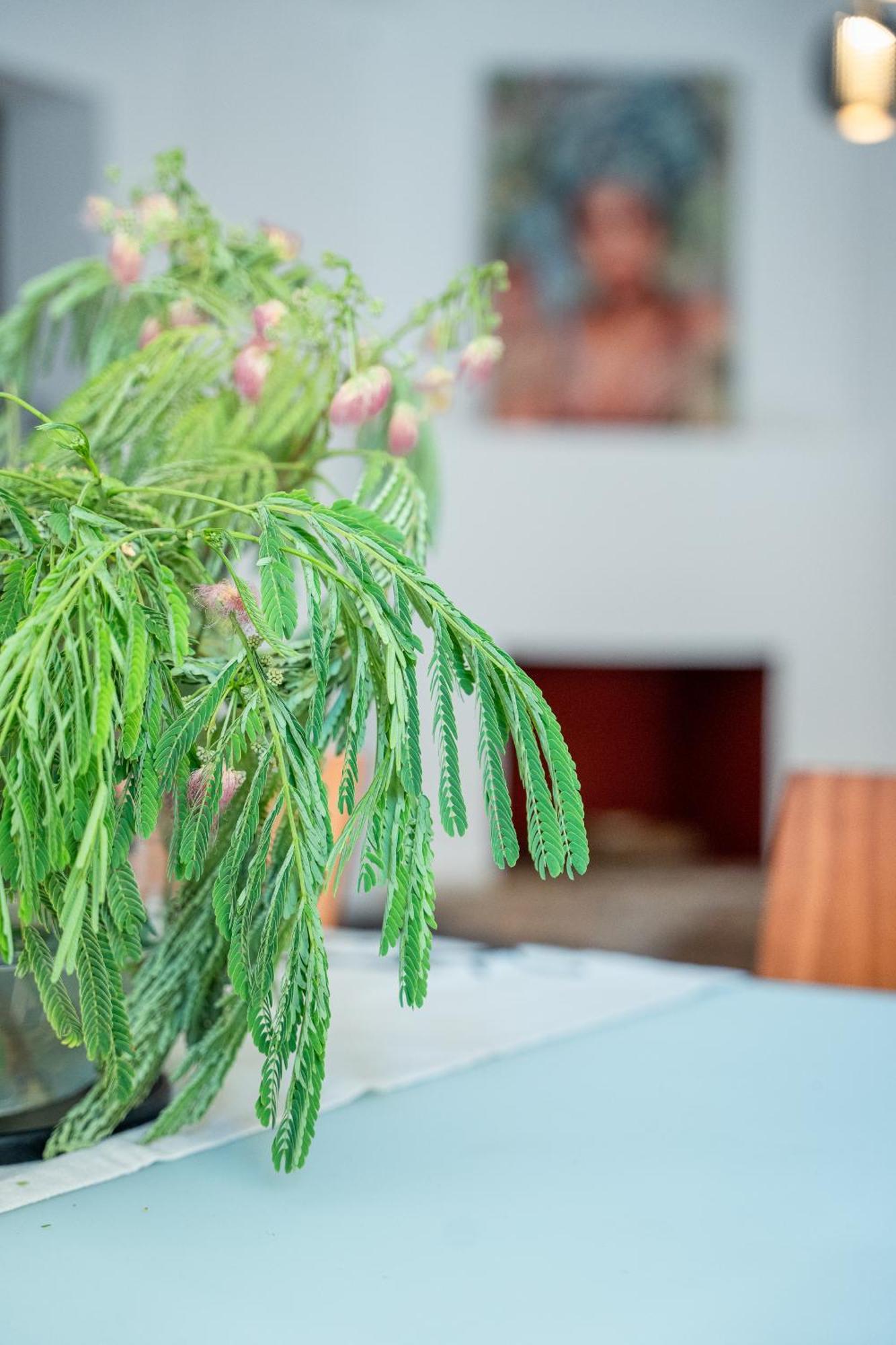 Otium Living Apartment Volos Bagian luar foto